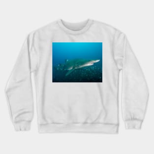 Sand Tiger Shark in the Outer Banks Crewneck Sweatshirt